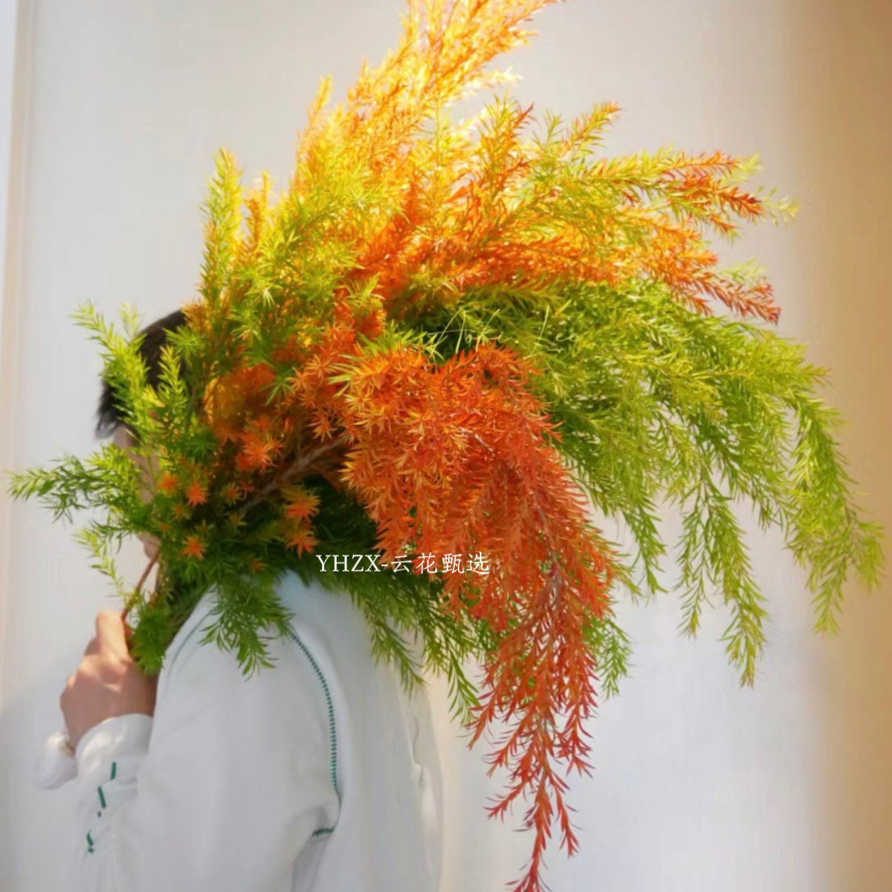 千层金鲜花水培黄金香柳干花鲜切插花束客厅绿植真花云南基地直发