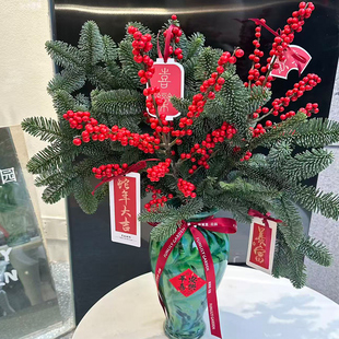 冬青花束高级感圣诞装束装饰ins诺贝松鲜切天竺少女松枝水培植物