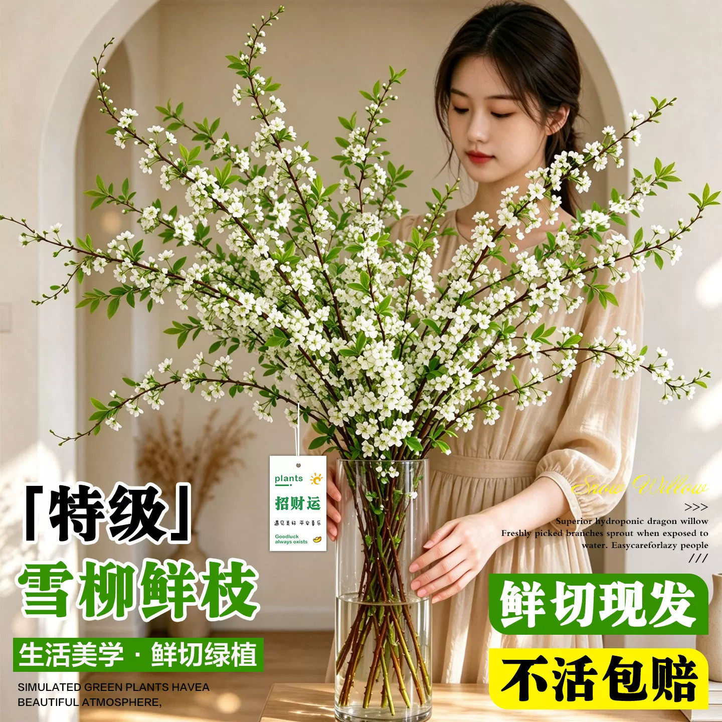 云南雪柳鲜枝带花苞好养活干枝插花水培植物客厅室内桌面龙柳绿植