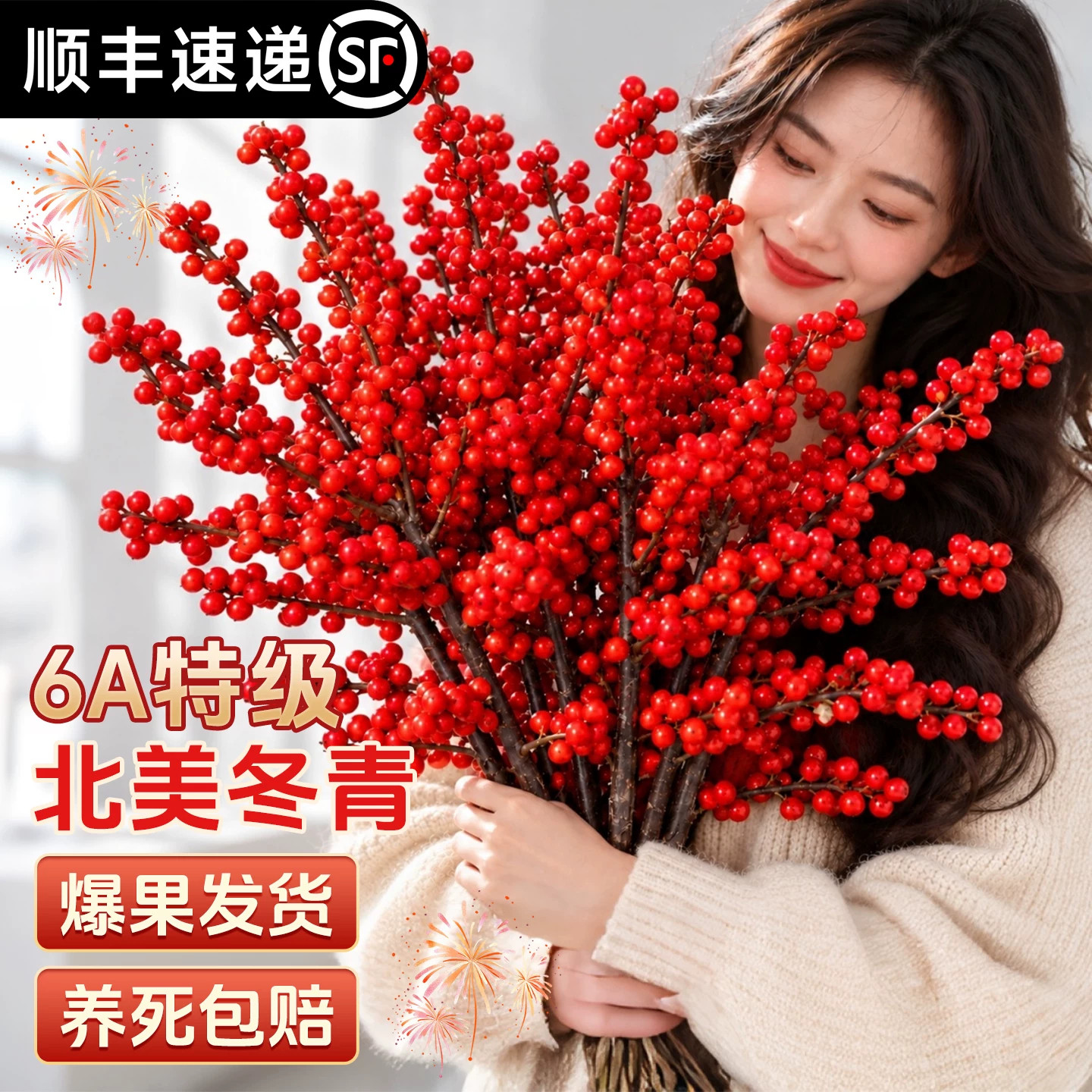 北美冬青红果真花水培绿植鲜切花卉新年宵盆栽冬季懒人适合养的花