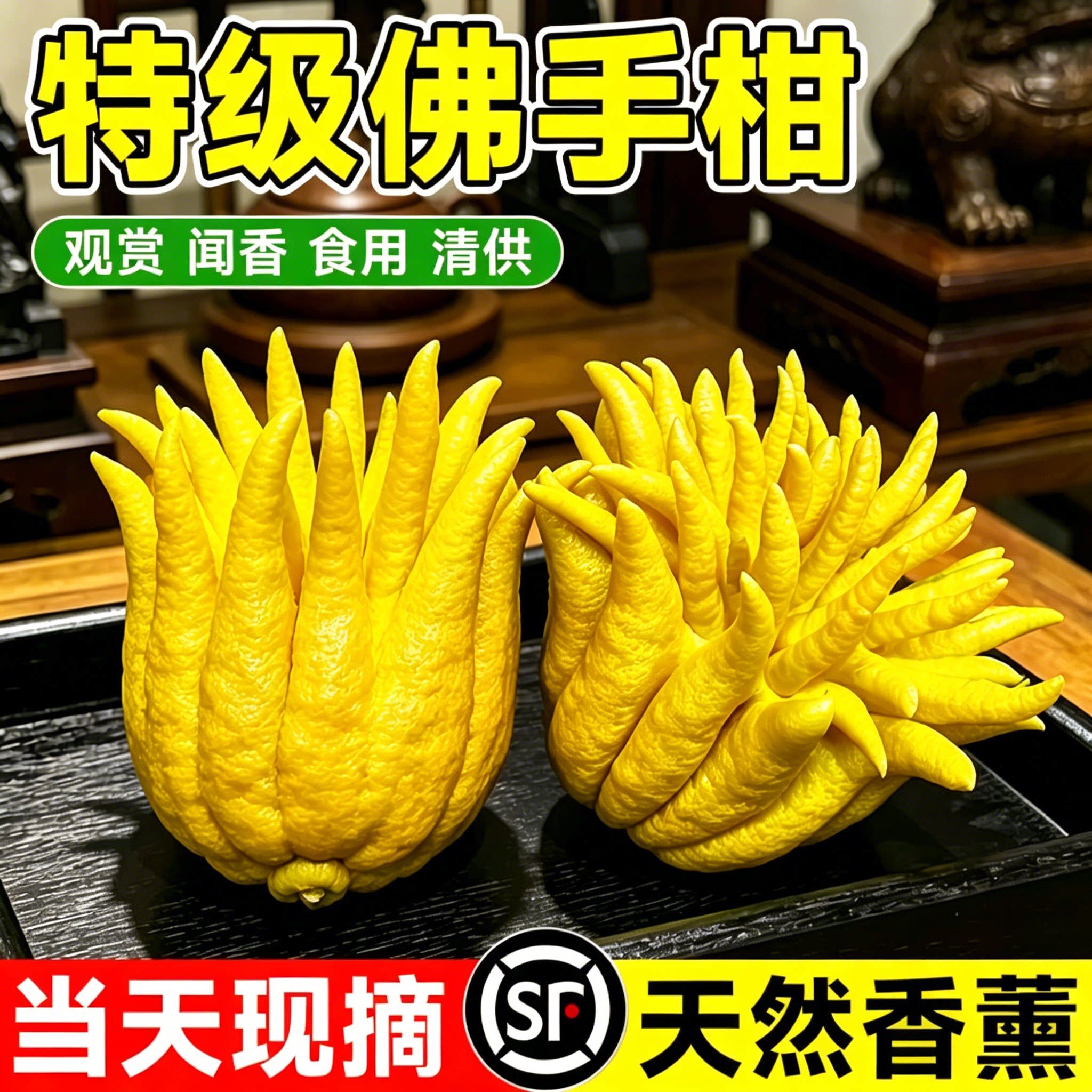 佛手柑鲜果云南新鲜佛手瓜切带枝室内摆件清供观赏闻香可食用花卉