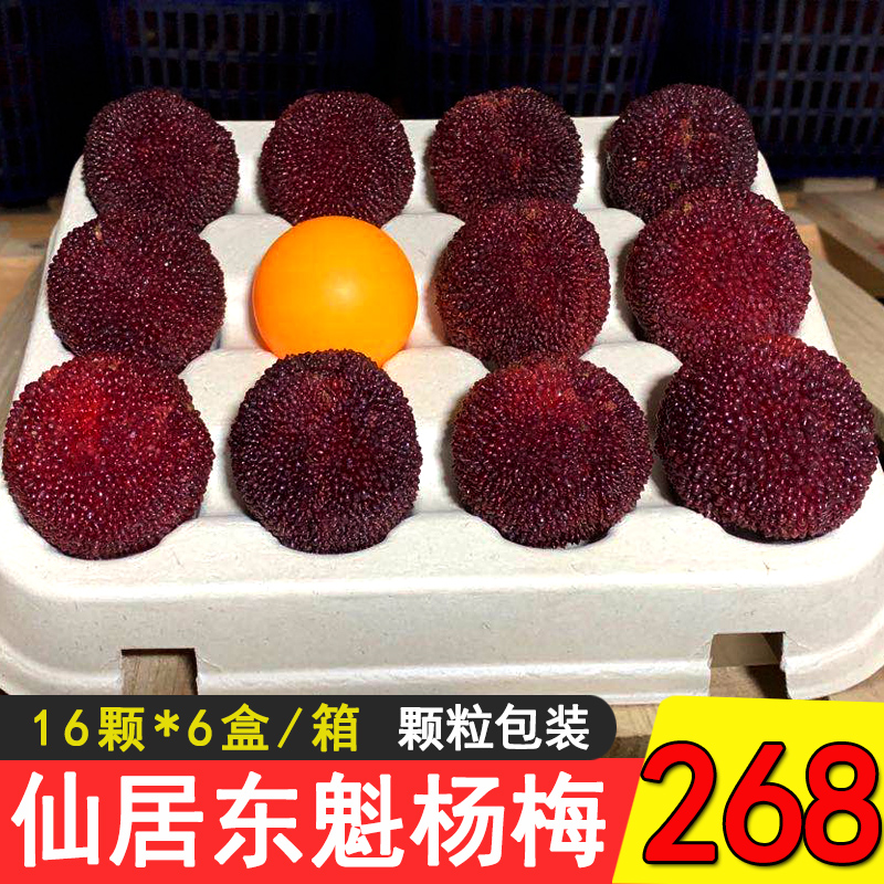 [12A大果]楊梅新鮮仙居楊梅鮮果正宗東魁楊梅水果新鮮現摘現發在類目 水產肉類/新鮮蔬果/熟食, 新鮮水果, 楊梅中 - 來自Buy2taobao.com提供專業的淘寶代購服務
