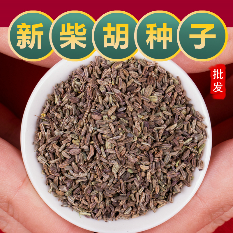 柴胡种子中草药柴胡种籽优质中药材31号黄黑柴胡种植苗500g