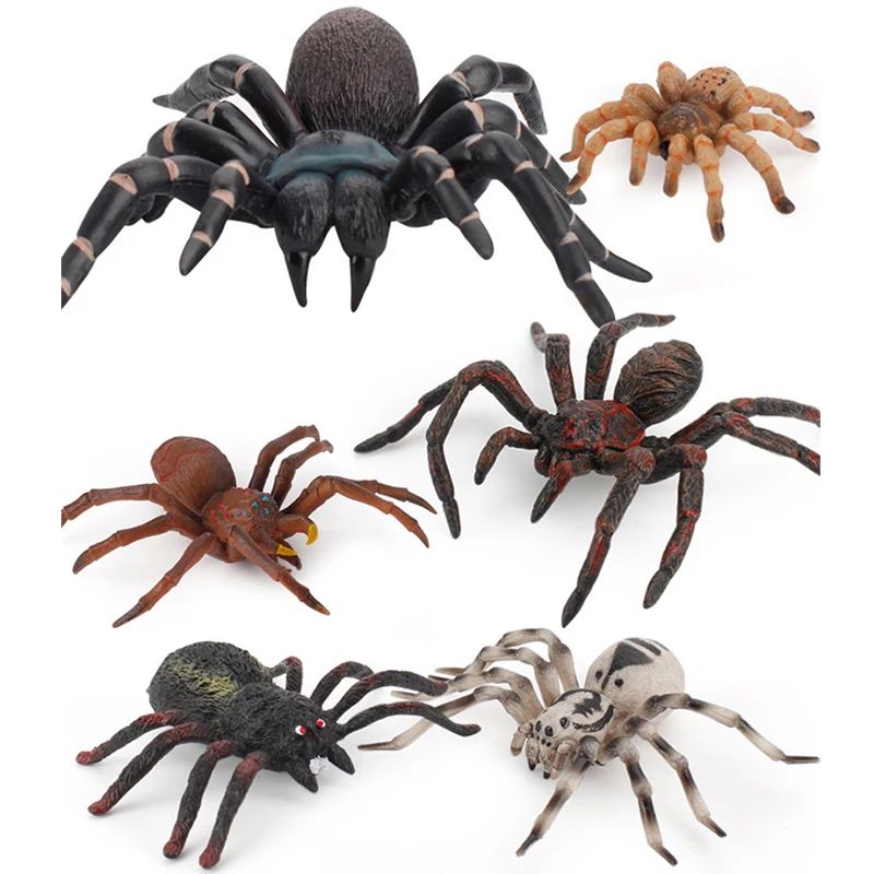 Simulation Animals Insect Solid Model Tarantula Black Spider