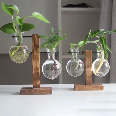 Creative Glass Desktop Planter Bulb Vase Wooden Stand Hydrop