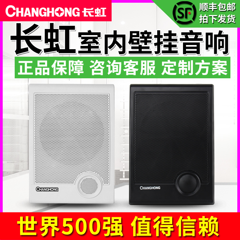 Changhong/长虹 B6壁挂式音响套装 店铺工厂餐厅会议超市酒店广播挂墙喇叭定压功放机背景音乐系统吊球音箱