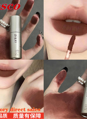 Lipstick Dark Brown Matte Velvet Lip Gloss Makeup Cosmetics