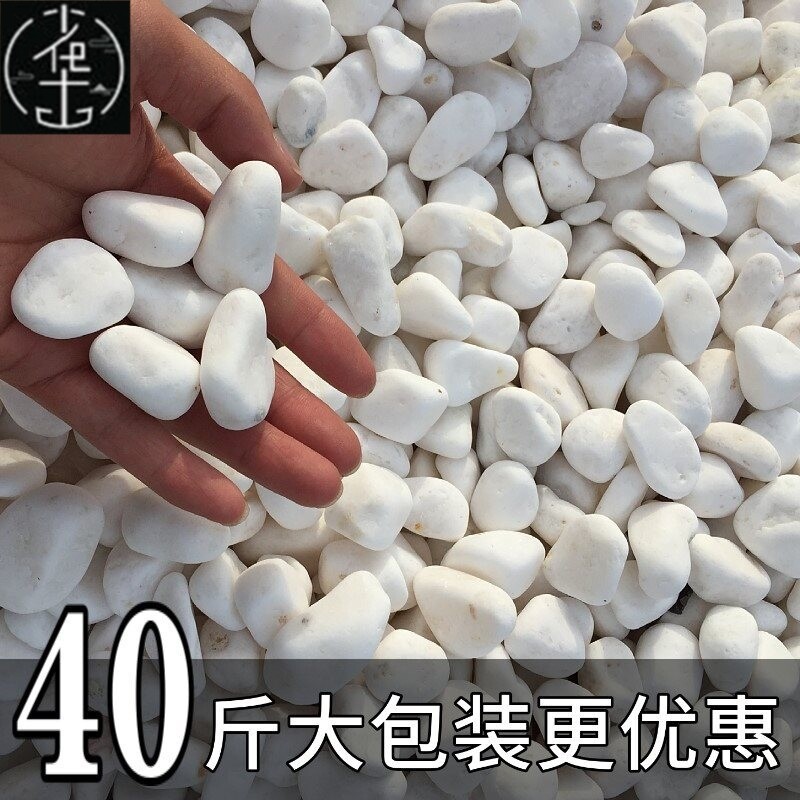 Garden bonsai white stones gravel paving courtyard decor