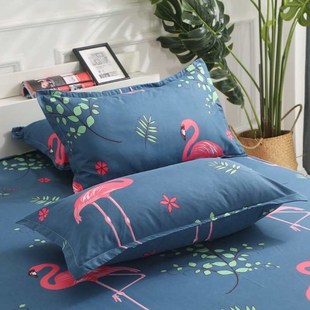 枕套一对装成人单人枕用简约加厚学生宿舍枕芯套枕头套罩