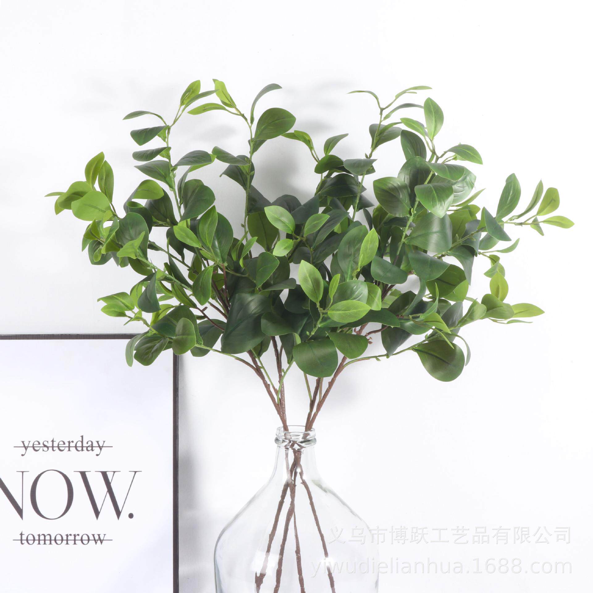 仿真豆瓣叶 人造绿植绿叶植物 园林造景软装插花配件家居婚庆装饰