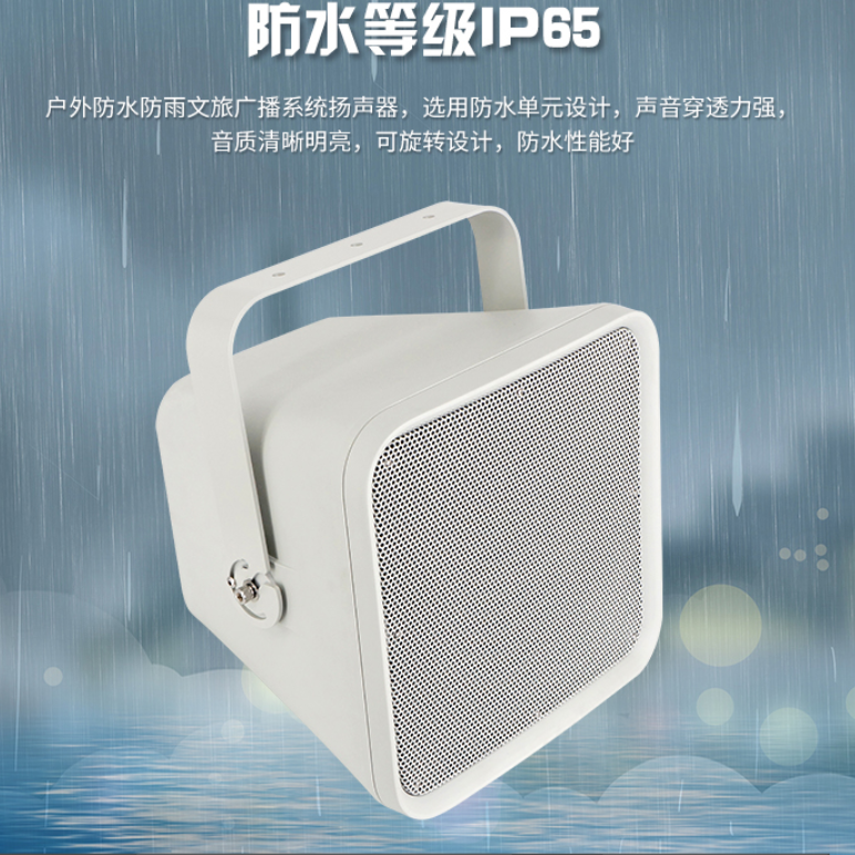 DNSUR广播远程号角音箱扬声器