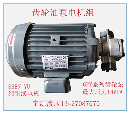 齿轮油泵电机组1.5KW 2.2KW 3.7KW 5.5KW HGP-3A-11 14 17 19 23R