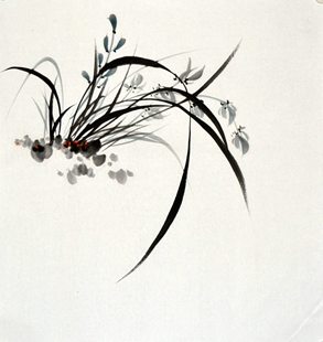 国画花鸟字画三尺斗方兰花水墨书房挂画手绘客厅中式画心无款装饰