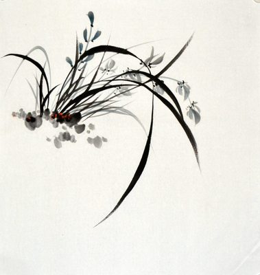 国画花鸟客厅三尺斗方水墨手绘