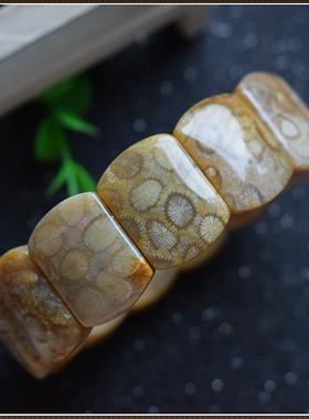 天然同料珊瑚玉手串