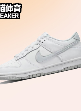 Nike Dunk Low GS 白灰色 女子低帮复古休闲运动板鞋 DH9765-102