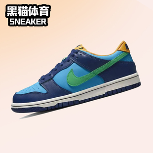Low 蓝绿 女子低帮复古休闲运动板鞋 401 Nike DV1693 Dunk