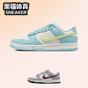 Nike Dunk Low 灰色 女子低帮复古休闲运动板鞋 DD1503-122
