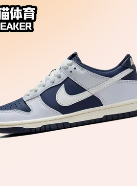 Nike Dunk Low 大童 女子 耐克 低帮 板鞋 GS 蓝色 FB9109-001