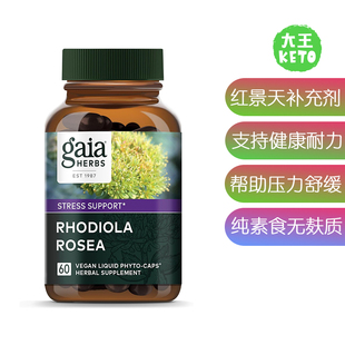 美国直邮 Gaia Herbs Rhodiola Rosea 草药红景天补充剂 60粒