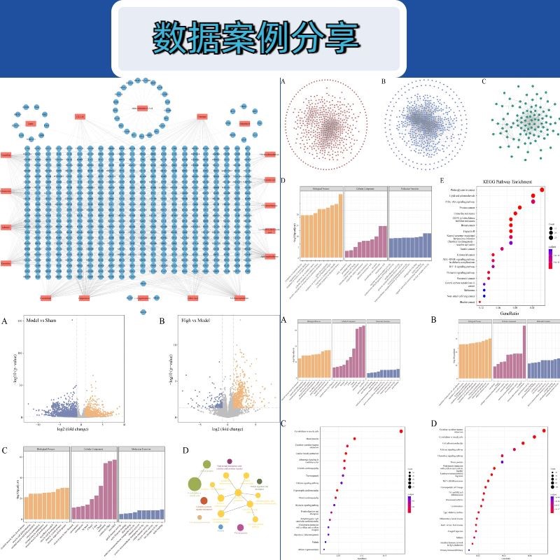 网络药理分析中药复方成分靶点机制分子对接TCMSP多数据库GEO加急