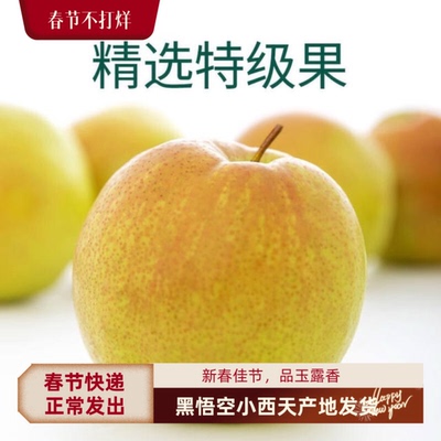 玉露香梨新鲜水果正宗玉露香梨