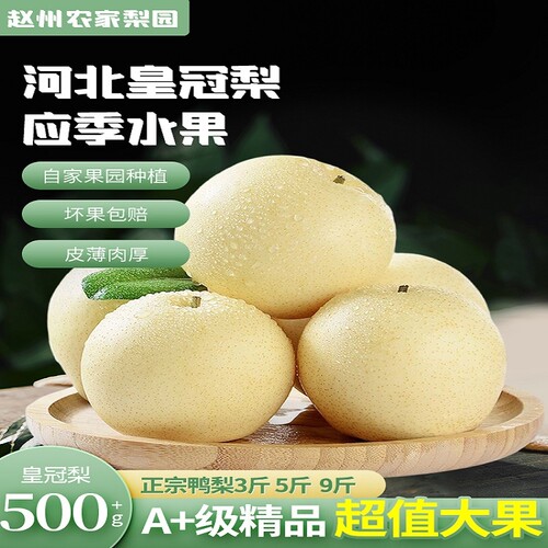 赵县皇冠梨应季新鲜水果皮薄肉细