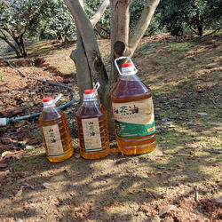 湖南永州野生山茶油农家纯正茶油物理压榨冷榨头道营养初榨月子油