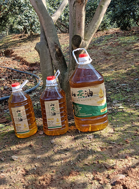 湖南永州野生山茶油农家纯正茶油物理压榨冷榨头道营养初榨月子油