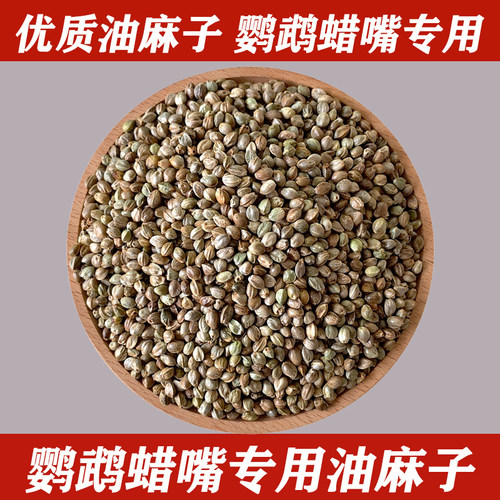 鹦鹉蜡嘴鸟专用油麻子