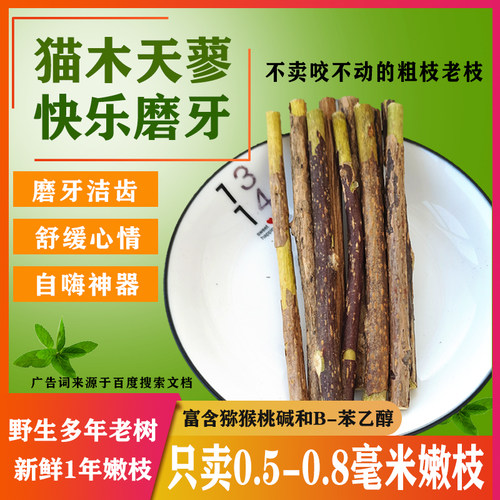 1年嫩枝木天蓼（咬得动才爱咬）