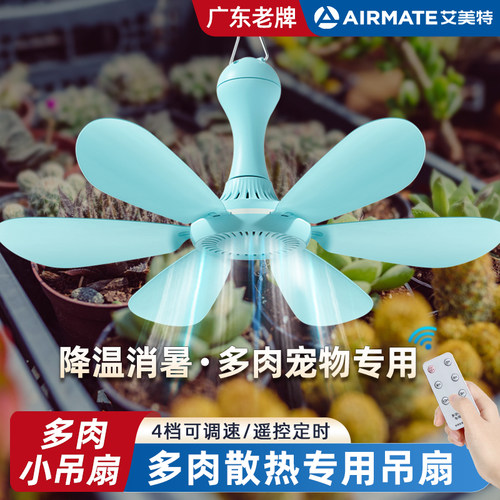 丨多肉小吊扇丨艾美特丨广东老牌