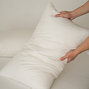 枕头芯一对拍2件 专柜成人学生枕芯单人装 聚乙烯薄膜枕头 无印日式