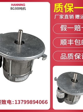 百通燃烧机电机风机STG146、BG300、BG400、BG450、BG550、BG650