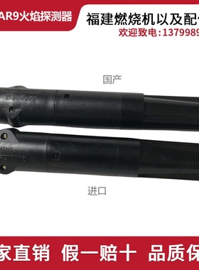 西门子LANDIS火焰探测器RAR9 电眼 光敏管 光敏电阻火焰监测器