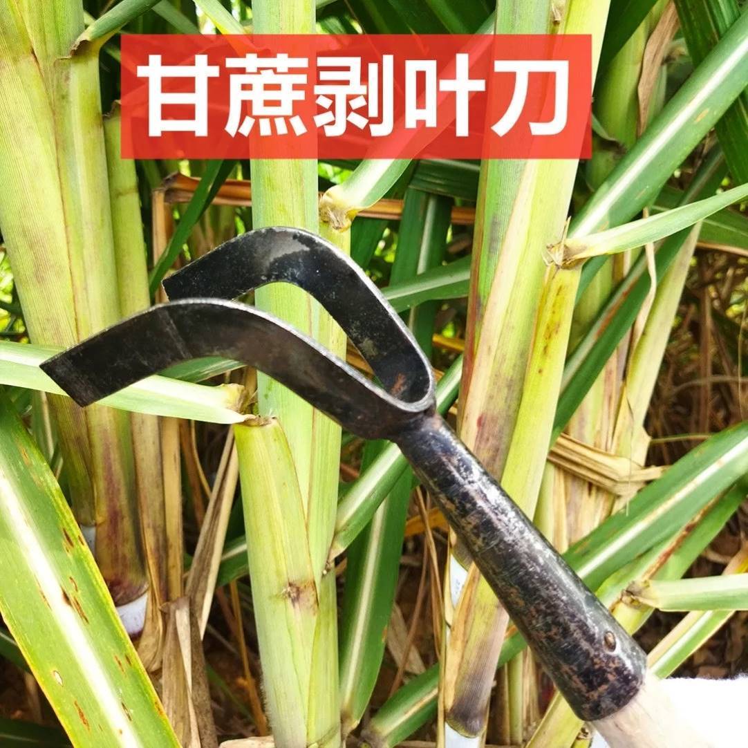 省力工具甘蔗农用推刮除叶刀剥甘蔗叶削皮机削甘庶去叶两用小镰刀