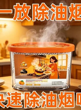 欧洲吸附油烟除味清洁魔盒空气炒菜烤肉烧烤除油多用途德国诺贝尔