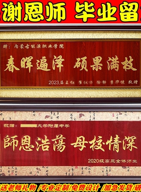 送医生老师感谢医院学母校实木牌匾定做制毕业礼品物字画高档锦旗