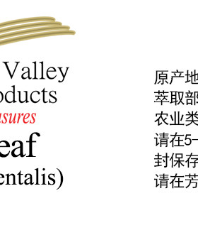 美国AVAT加拿大野生侧柏单方精油 有助细B再S护发防脱驱虫手作diy