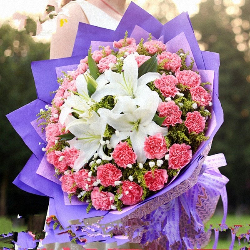 Mother's Day Carnation Golok The Zang or Tibetan people Machen County Bama County Dari County flower express Same city Floristin the Flower delivery/Flowers simulation/Plants gardening , Flower delivery(City)  category - from Buy2taobao.com to provide professional Taobao agent buy service