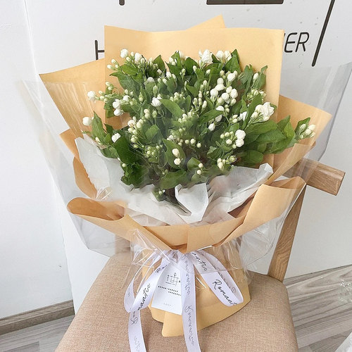 茉莉花束价格_茉莉花束图片- 星期三