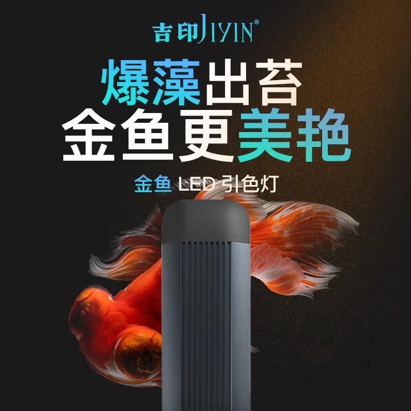 吉印刀锋金鱼灯鱼缸专用可潜水族专业兰寿爆藻灯苔观赏鱼补光灯图片