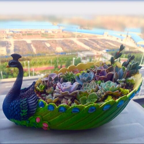 包邮创意个性可爱树脂大多肉花盆