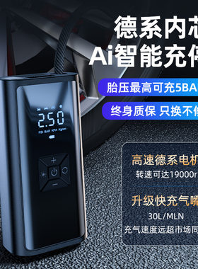 戴升充气泵车载充气泵汽车用打气筒迷你便携式小轿车轮胎打气