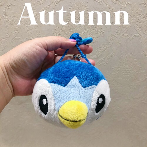 日单pokemon宝可梦 神奇宝贝 波加曼零钱包标清毛绒口金包斜挎包