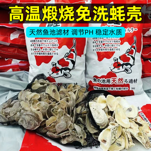 鱼缸鱼池滤材蚝壳锦鲤池调水生蚝壳免洗防跌酸碱性滤材牡蛎壳过滤