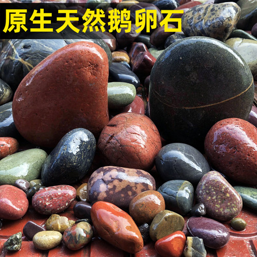 鱼缸造景石鹅卵石溪流三湖慈鲷