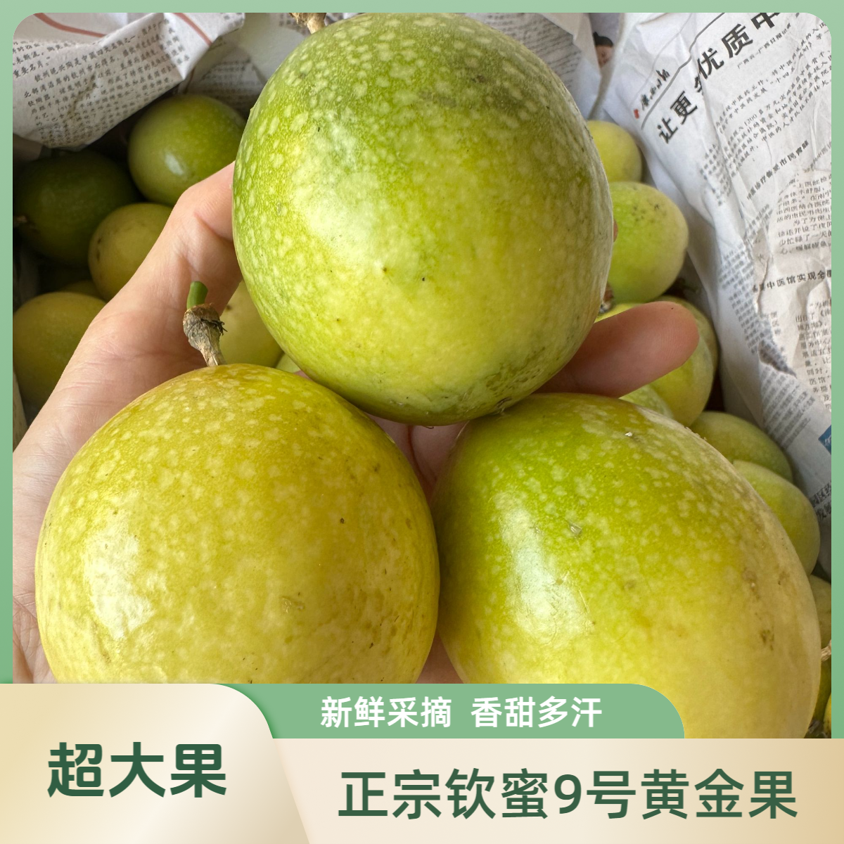 正宗广西钦蜜9号黄金百香果3/5/9斤新鲜水果超大果巨无霸蜜甜多汁
