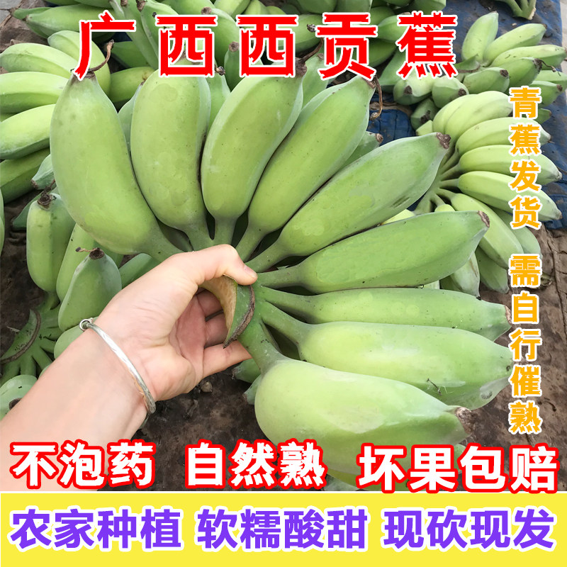 广西西贡蕉现摘现发香甜软糯