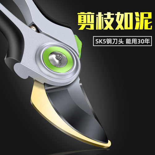 园艺剪刀修枝剪修剪剪树枝专用省力剪枝修花园林花剪家用果树神器
